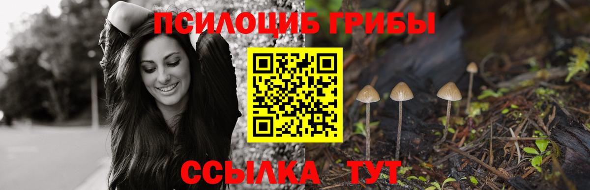 Унеча  Галлюциногенные грибы GOLDEN TEACHER  Вход с VPN 